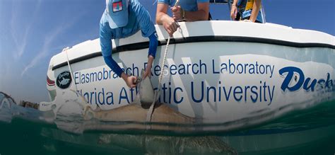 Marine Science Program Proves That Firsthand Experience Is Marine Science Experiments - Marine Science Experiments