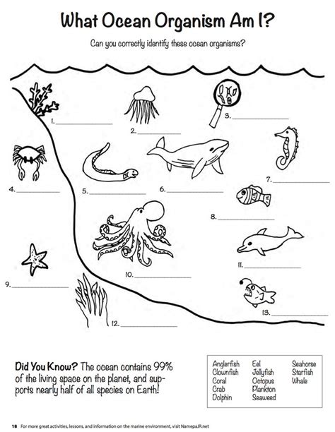 Marine Science Worksheets Learny Kids Marine Science Worksheets - Marine Science Worksheets