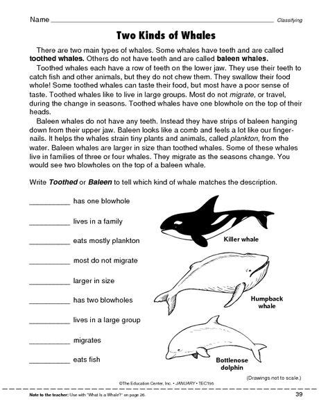 Marine Science Worksheets   Lesson Plans Marine Conservation Society - Marine Science Worksheets