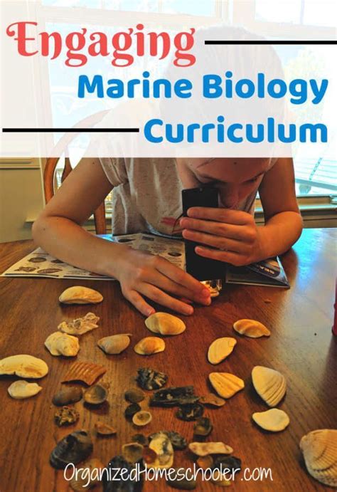 Marine Science Worksheets   Marine Science Curriculum Worksheets Amp Teaching Resources Tpt - Marine Science Worksheets