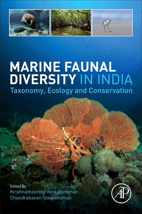 Download Marine Faunal Diversity In India Taxonomy Ecology And Conservation 