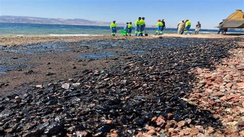 Read Online Marine Pollution In The Gulf Of Aqaba And Gulf Of Suez And 