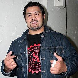 mark hunt wikipedia
