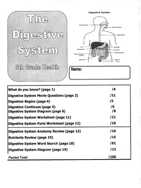 Mark Twain Digestive System Packet Answers