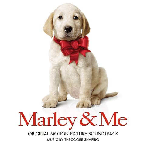 Marley And Me Notes
