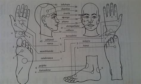 Marma Points Of Ayurveda