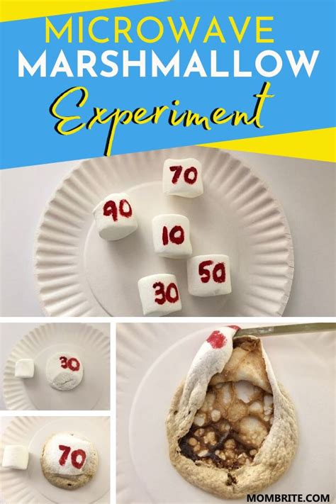 Marshmallow In The Microwave Experiment Mombrite Microwave Science Experiments - Microwave Science Experiments