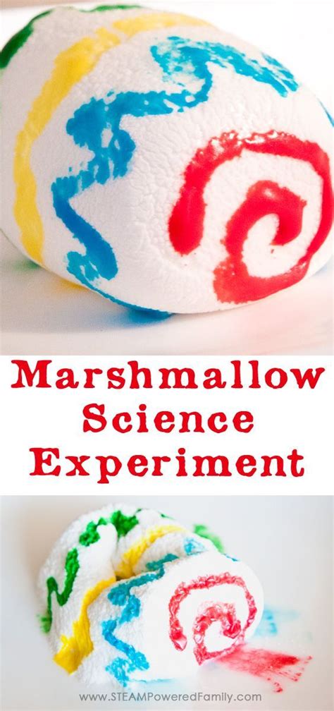 Marshmallow Science Experiment Candy Steam Activity Microwave Science Experiments - Microwave Science Experiments