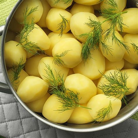 marsvin kokt potatis