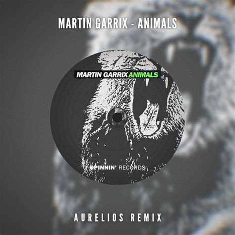 Martin Garrix Animals Remix