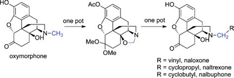 mary ann endoma synthesis energy