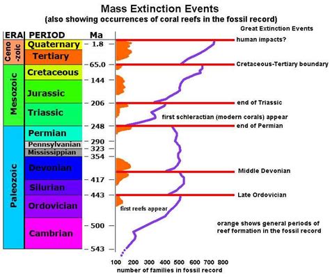 Mass Extinction Pogil