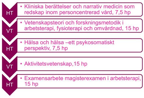 master arbetsterapi ki