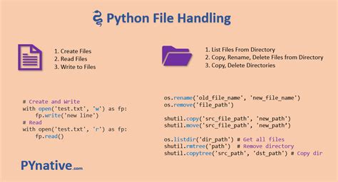 Mastering File Handling In Python A Comprehensive Guide English Writing For Beginners - English Writing For Beginners