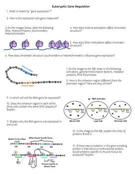 Read Online Mastering Biology Activity Answers Regulating Gene Expression 