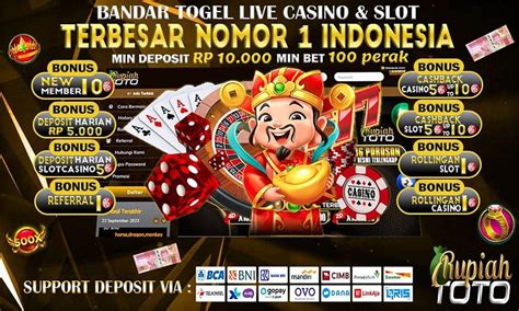 MASTERTOGEL ALTERNATIF