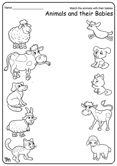 Match And Color The Baby Animals Worksheet Animals And Their Babies Matching - Animals And Their Babies Matching