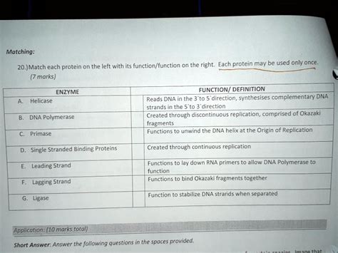 Match The Protein Function With The Correct Example