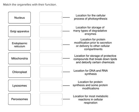 Match The Structure With Its Protective Function