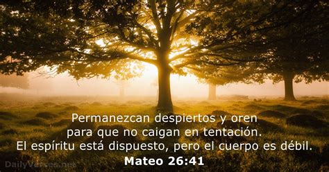 Mateo 26 41