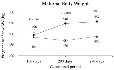 Maternal Protein Supplementation During Mid Gestation Improves Offspring In Science - Offspring In Science
