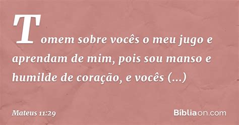 Mateus 11 29