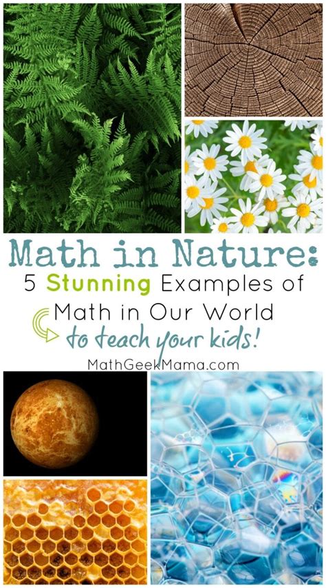 Math And Nature