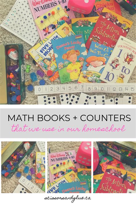 Math Books Counters That We Use In Our Check Book Math - Check Book Math