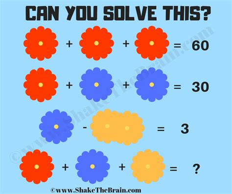 Math Brain Teaser Flowers Picture Puzzle Answer Included Flower Math - Flower Math