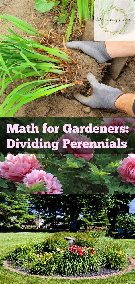 Math Class For Gardeners Archives Bless My Weeds Garden Math - Garden Math