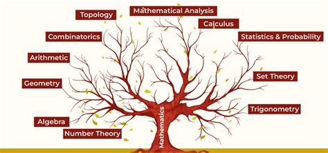 Math Disciplines