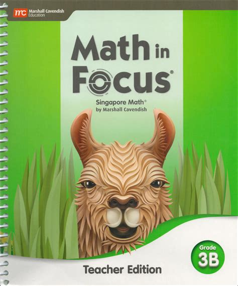 math in focus grade 3 extra practice