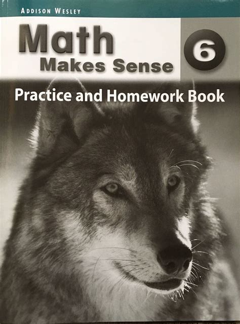math makes sense 6 practice and homework book