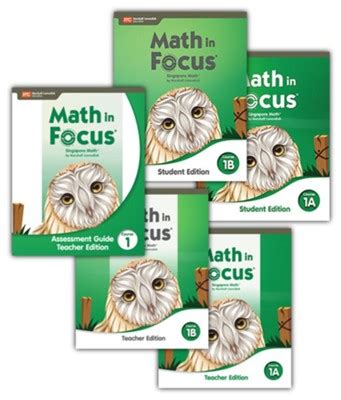Download Math In Focus 6 Desany 