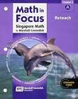 Read Online Math In Focus Reteach Course 3 Bing 