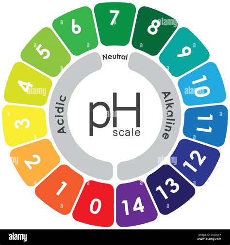 Download Mathbits Solutions Is It Acidic Or Alkaline 