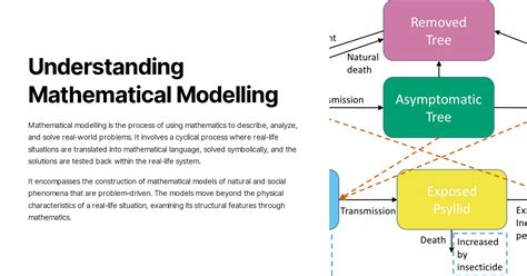 mathematical modelling