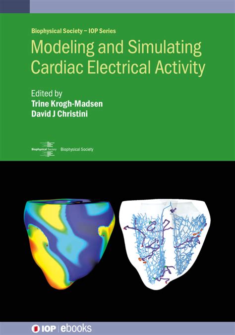 Mathematical Modelling Of Cardiac Electrical Activity