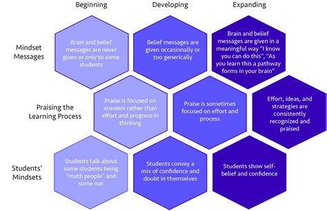 Read Online Mathematical Literacy Learner S Guide Mindset Network 