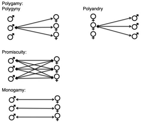 Mating Systems In Animals