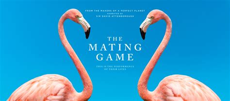 mating game