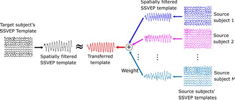 Matlab Code For Ssvep Based Bci System