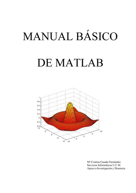 Read Matlab Manual 