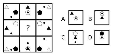 Download Matrigma Cognitive Test Practice Test Mybooklibrary Com 