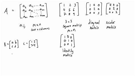 Matrix And Line Linear Algebra By Kb Datta