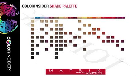 matrix color insider pdf