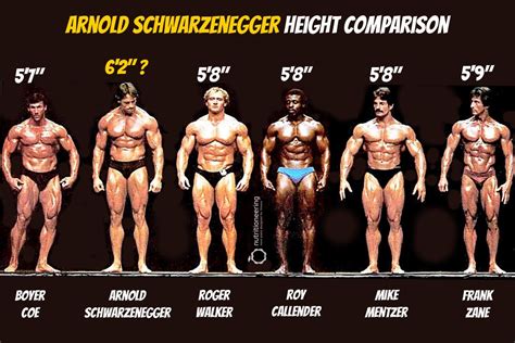 matt adamson real height arnold