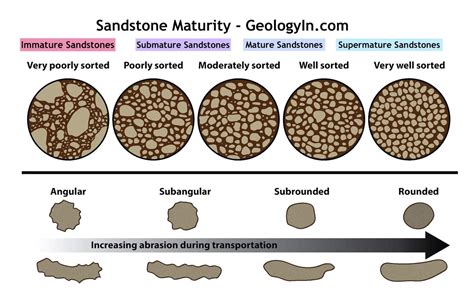 Mature Sandstone
