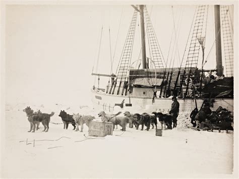 Maud Skip