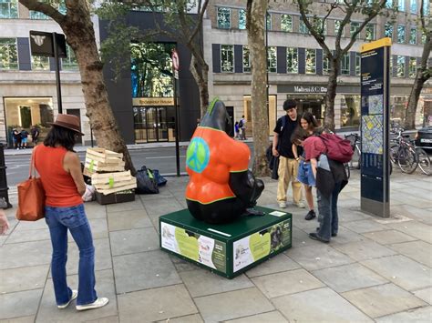 mauro perucchetti biography definition